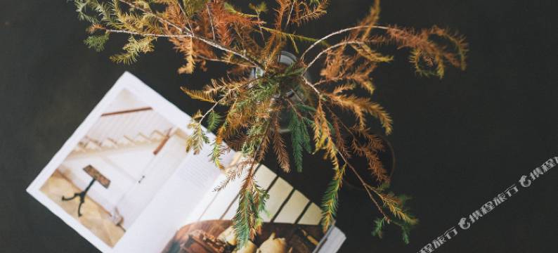 重庆进屋电竞民宿图片