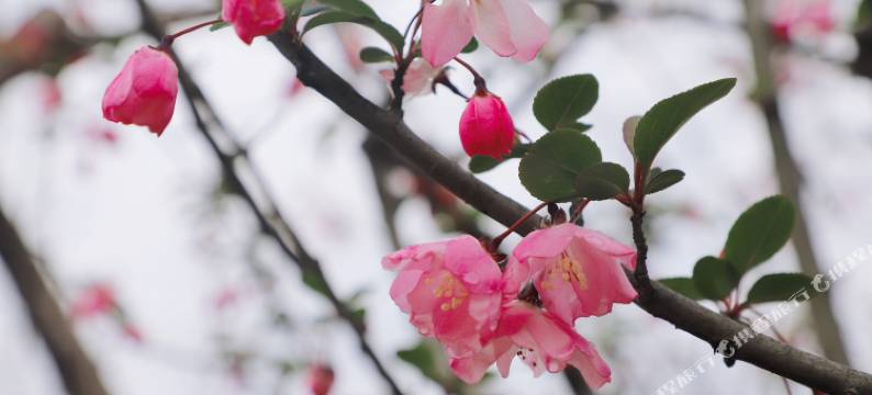 安吉两山讲习所培训中心图片