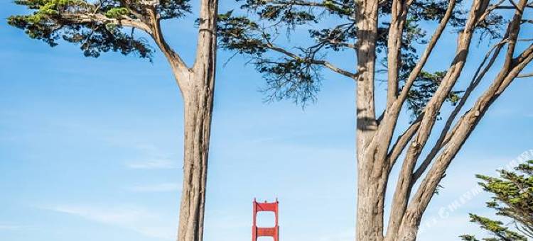 希尔顿逸林酒店-旧金山SoMa区(Canopy by Hilton San Francisco SoMa)图片