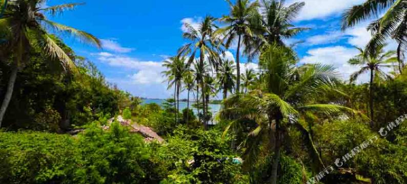 奥拉酒店(Aura)图片