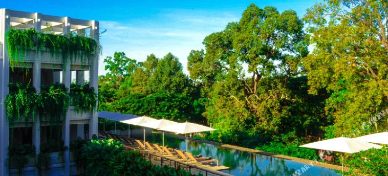 特雷布藏红花酒店(Treeline Urban Resort)图片