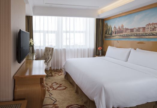 Vienna Hotel(Shenzhen Shajing Jingji Baina) Hotel Overview