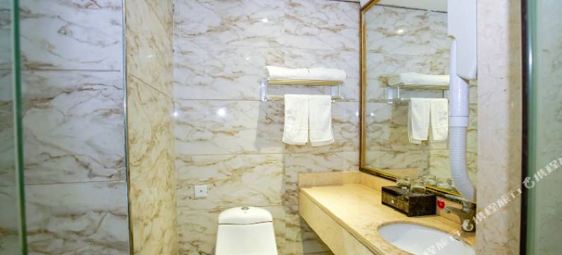 南宁金中环假日大酒店图片