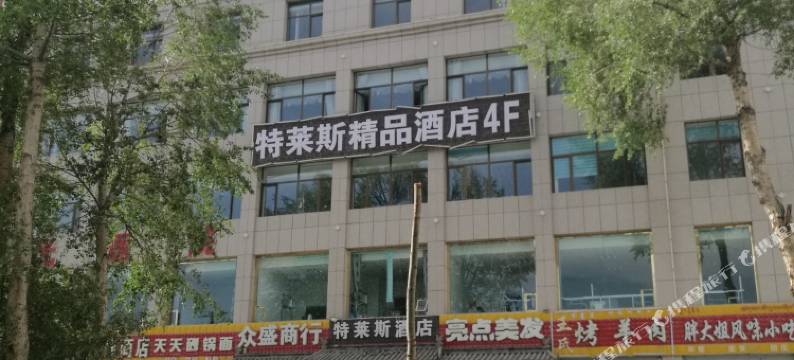 德令哈特莱斯精品酒店图片