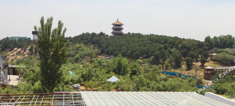 泰安宜居客栈(泰山红门店)图片