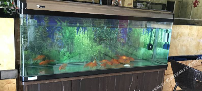 三明沙县亿锦宾馆图片