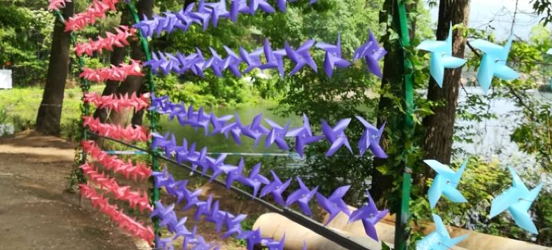 汉中桓源农家乐民宿图片