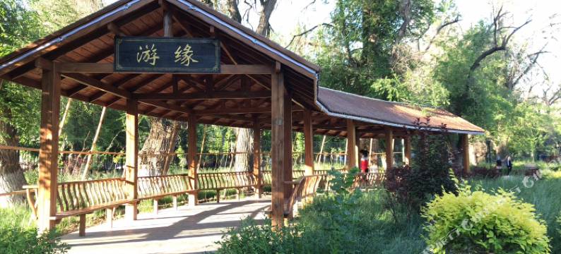 伊宁天缘雅居酒店图片