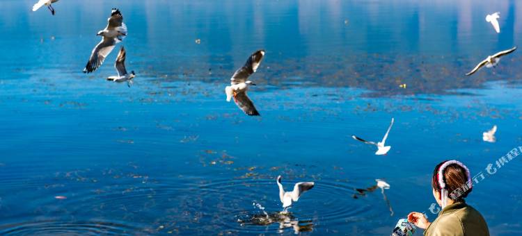 大理聆海相约客栈(洱海S湾生态廊道店)图片