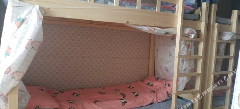 成都猪儿虫青年旅舍图片