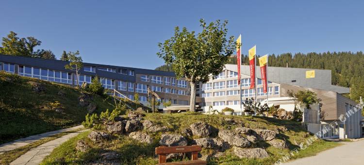 瑞吉卡尔巴德瑞士品质酒店(Rigi Kaltbad Swiss Quality Hotel)图片