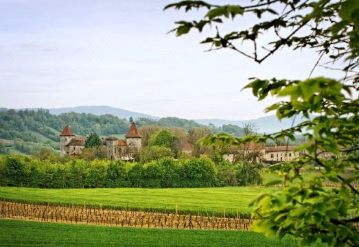 Château Chapeau CornuHotel Overview