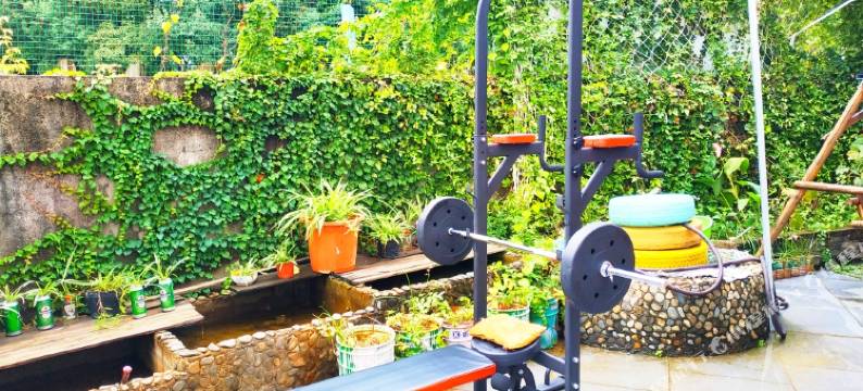 武夷山大王龙门府民宿图片