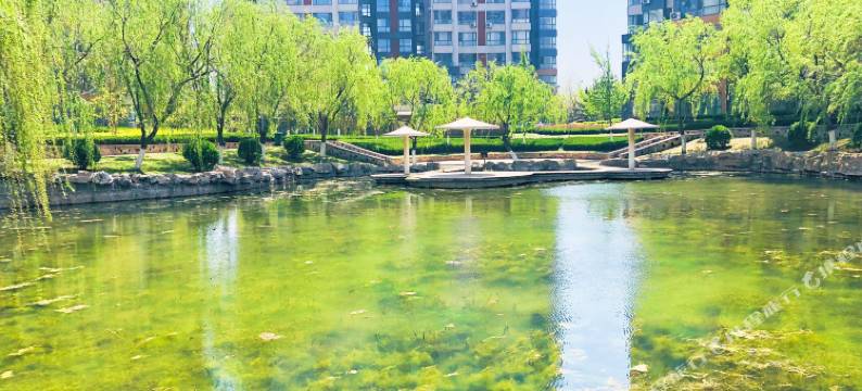 龙口四海有家民宿图片