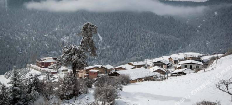 扎尕那格宗精品民宿图片