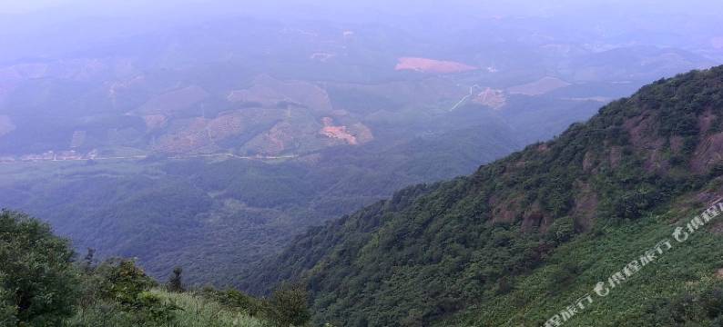 三百山温泉民宿(新三段分店)图片