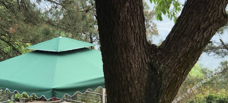重庆城里山外民宿图片