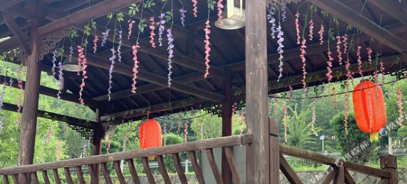 天目山林然民宿图片