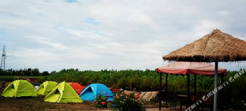 张北726小院图片