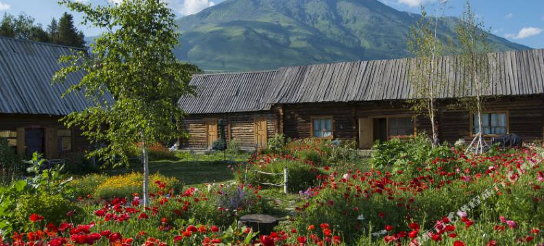 禾木时光里花园民宿图片