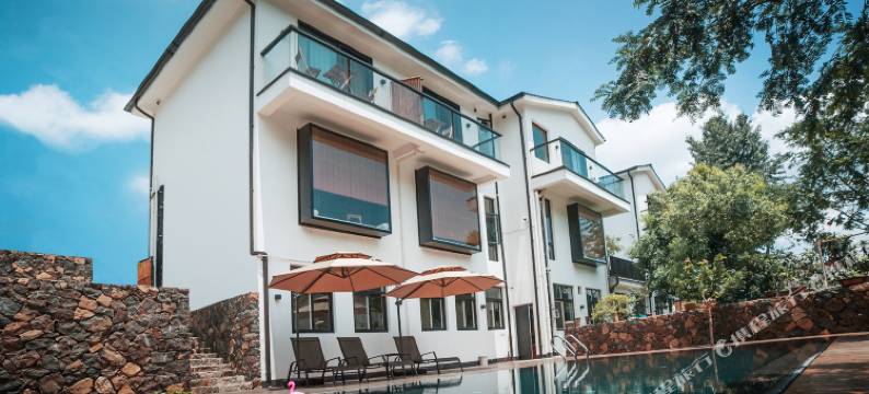 莫干·游子问茶院图片