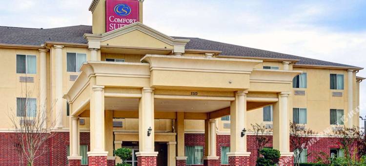 舒适套房酒店-德克萨斯大道(Comfort Suites Texas Ave)图片