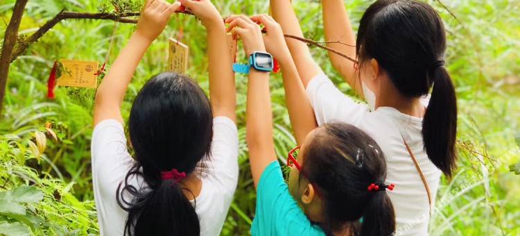 丽水天师楼岑庄民宿图片