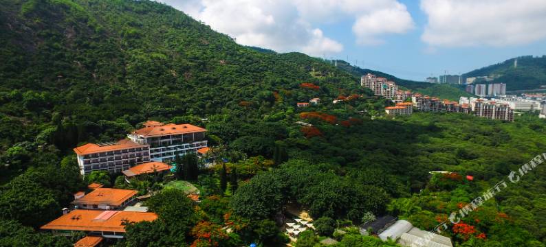 深圳青青世界酒店图片