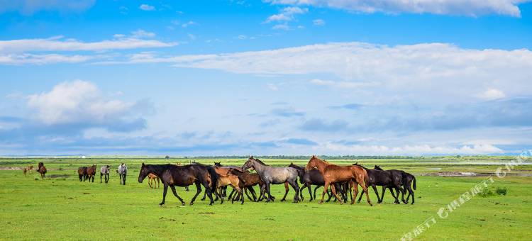 赤峰维斯蒂酒店(赤峰学院万达广场店)图片