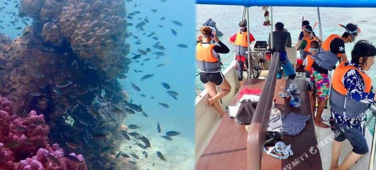 帕拉海滩玩耍酒店(Play Phala Beach Rayong)图片