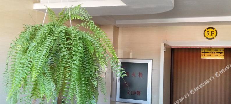 凤城龙原城商务宾馆图片