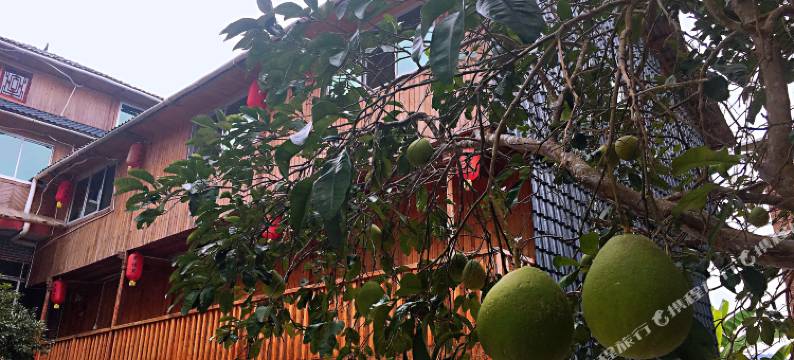 幸福里山居图片