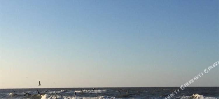 缙云飞云宾馆图片