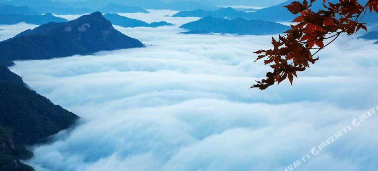 桓仁佑佑家民宿图片