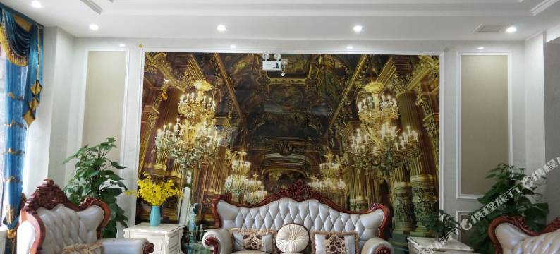 安康雅维特酒店图片