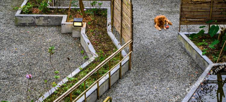 青城山芗吟青城·汤泉观景民宿图片