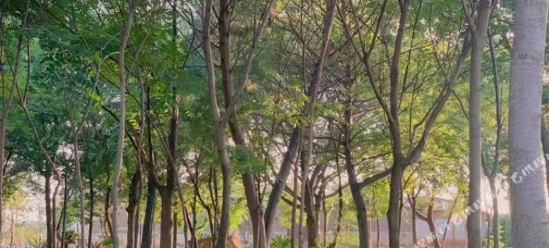 纳家营塔希尔公寓图片