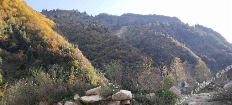 理县丹增家园酒店图片