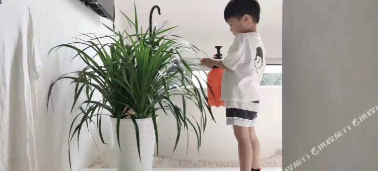 杭州西子若隐民宿(西湖风景区太子湾店)图片