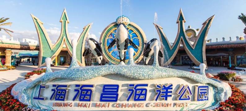 上海迪漫酒店图片