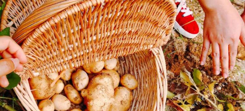 重庆漫时光乡村度假客栈图片