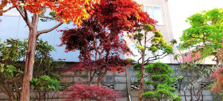 民宿锦園(Nishikien inn)图片