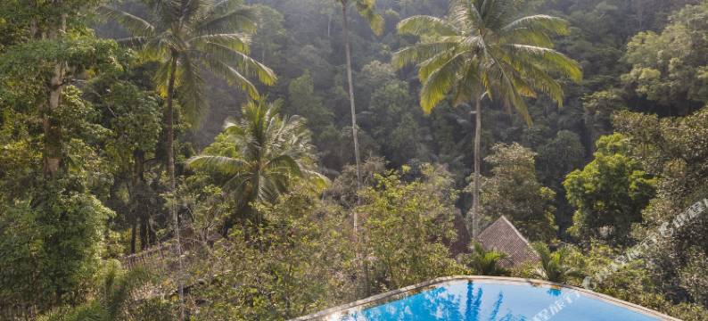 乌布爱咏度假村(Ayung Resort Ubud)图片