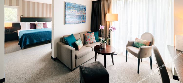 温特图尔公园酒店(Park Hotel Winterthur)图片