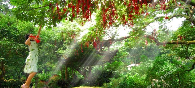 中山市卓旗山庄图片