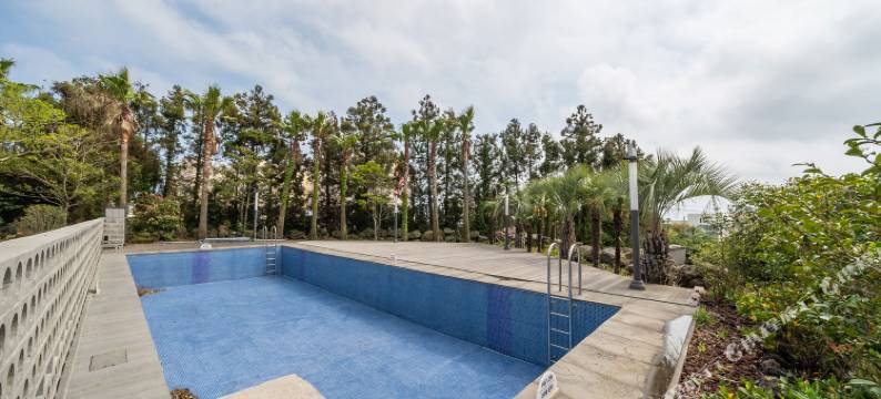 仲敏日出酒店(Sunrise Hotel Jungmun Branch)图片