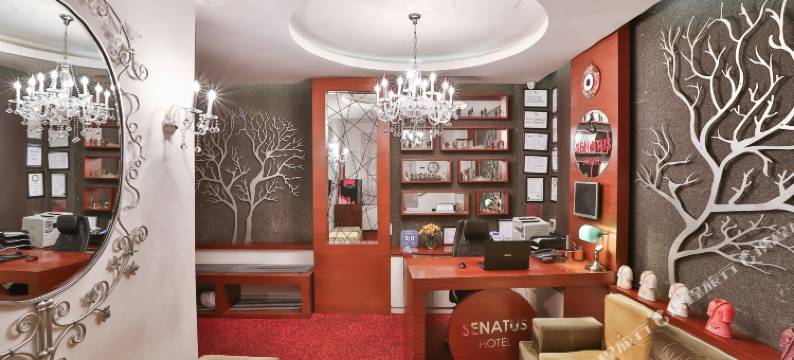 希纳斯酒店(Senatus Hotel - Special Class)图片