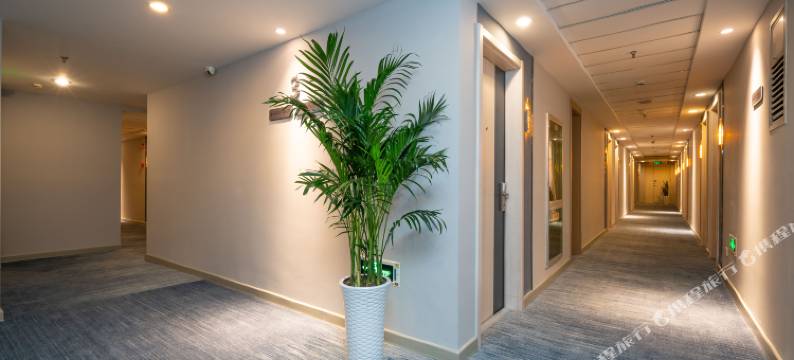 白玉兰酒店(西安明城墙长乐门地铁站店)图片