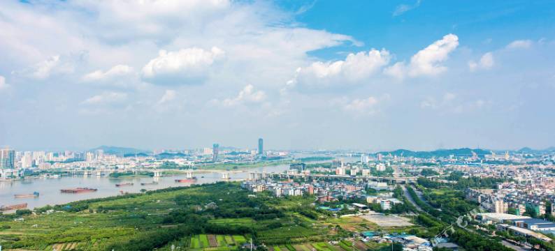 丽景公寓(广州琶洲会展万胜围地铁站店)图片