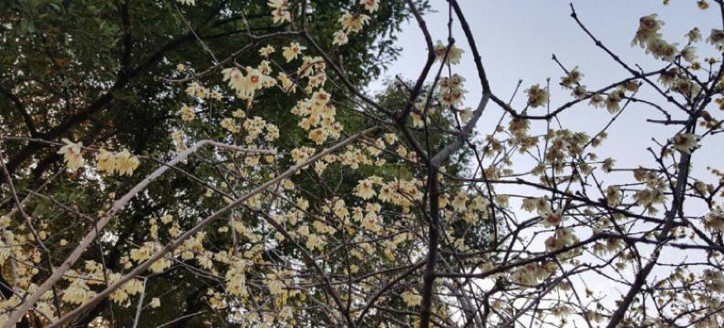 太仓泽禧商务酒店图片
